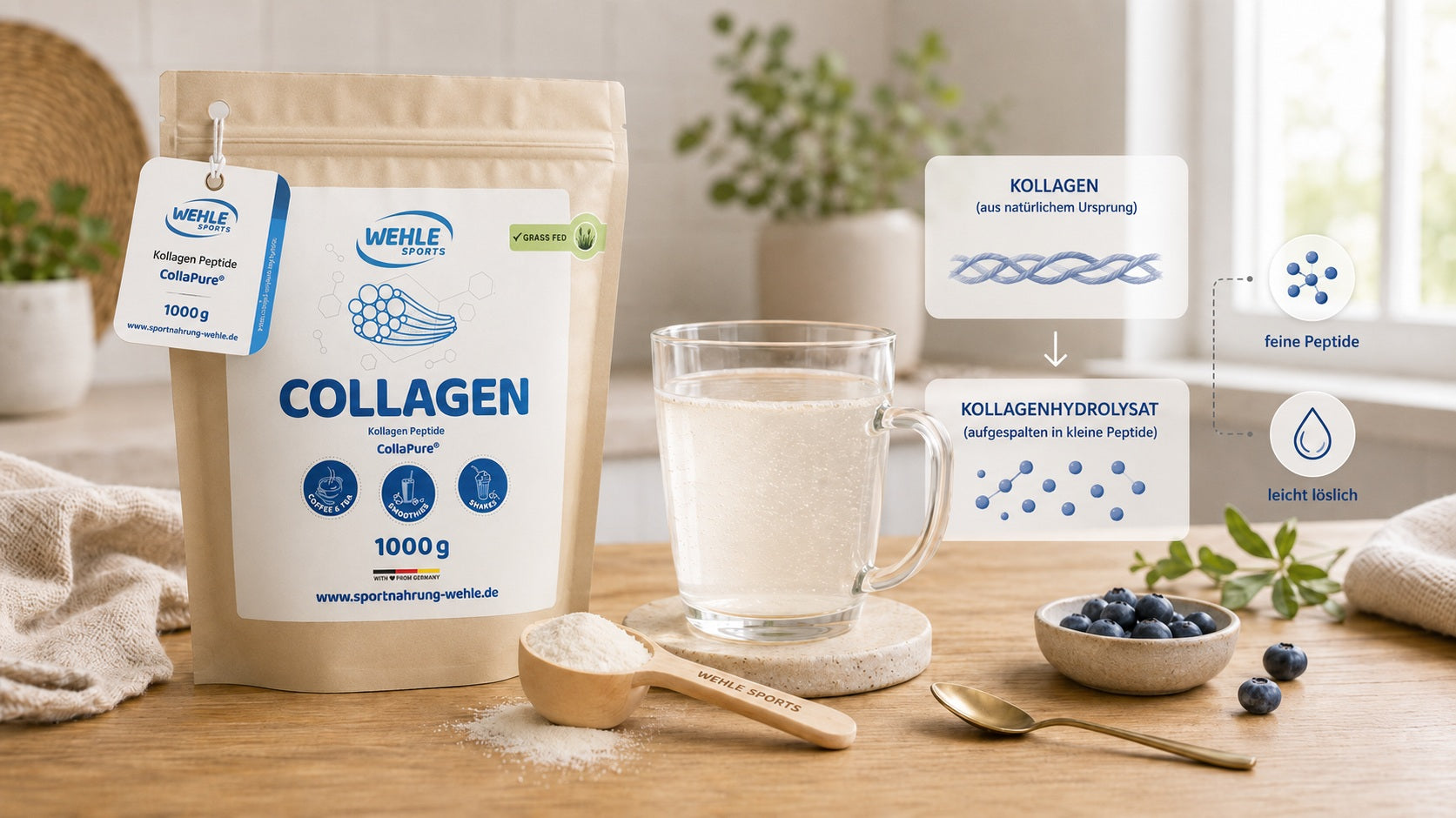 Was ist Kollagenhydrolysat? Einfach erklärt