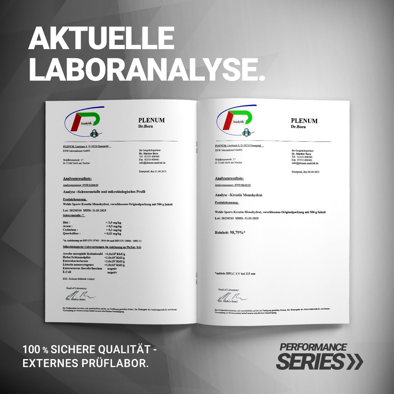 Wehle  Creatin Monohydrat Pulver - Kreatin 1000g