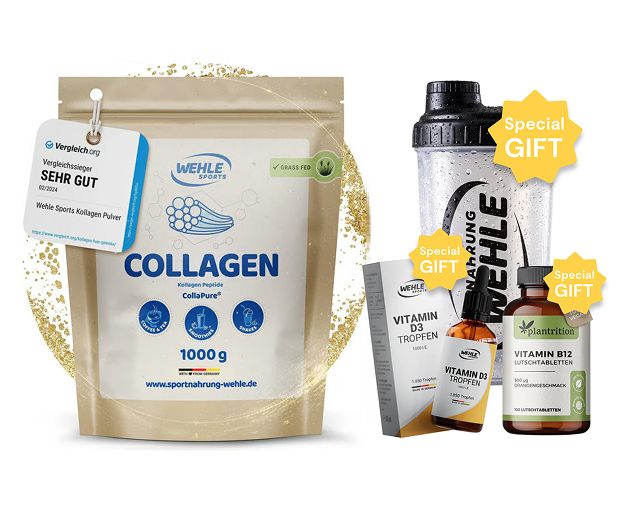Kollagen Pulver – Wehle Collagen Matrix 360° mit Kollagen Typ I, II & III