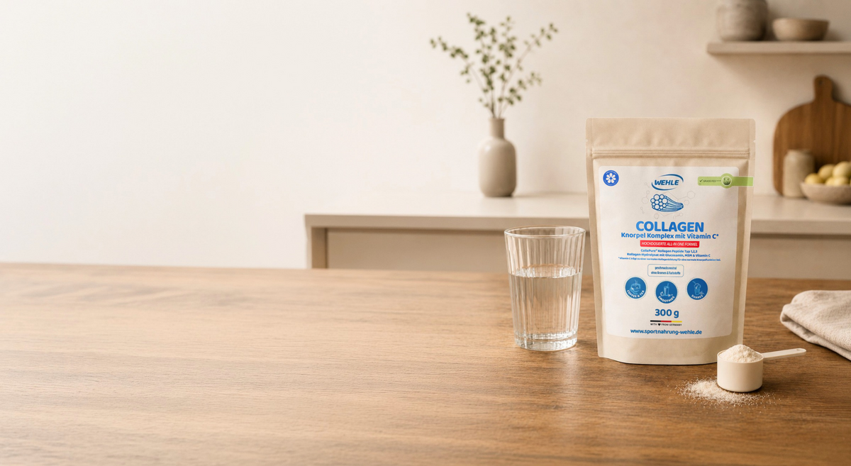 KNORPEL KOMPLEX